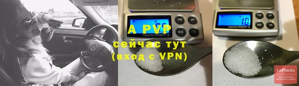 индика Михайловск