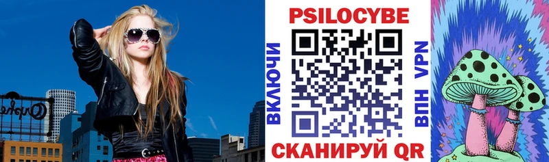 omg онион  Королёв  Псилоцибиновые грибы Cubensis 